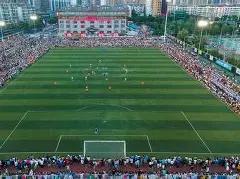 倪萍,岁素颜照流,气质依旧却,巅峰国际,巅峰国际官网,中国巅峰国际,巅峰国际入口