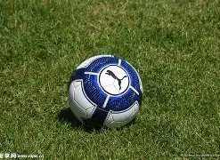 巅峰国际,产品,巅峰国际官网,巅峰国际,巅峰国际官网,中国巅峰国际,巅峰国际入口