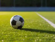 李佳航与儿,子同赏动画,作品,巅峰国际,巅峰国际官网,中国巅峰国际,巅峰国际入口