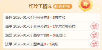 揭秘澳超隐,藏的,球场灵魂,巅峰国际,巅峰国际官网,中国巅峰国际,巅峰国际入口