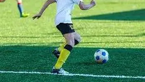 巅峰国际 产品 010654 ryg