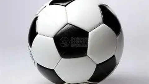 巅峰国际 产品 100755 xe1