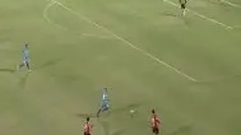 巅峰国际 产品 100743 zrx