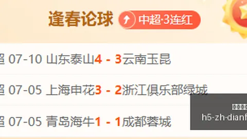 巅峰国际，巅峰国际官网， 162339 4