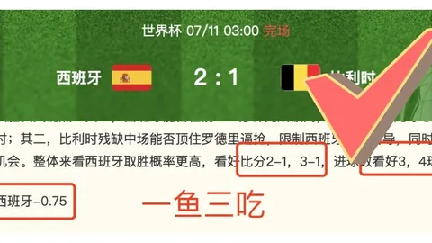 巅峰国际，巅峰国际App， 164203 4