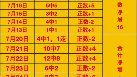 巅峰国际 172629 5