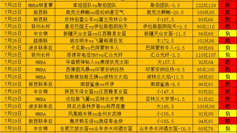 巅峰国际 181658 7